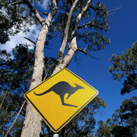 Australia and New Zealand Tours